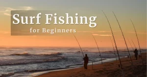 surf fishing for beginners on beach at sunrise