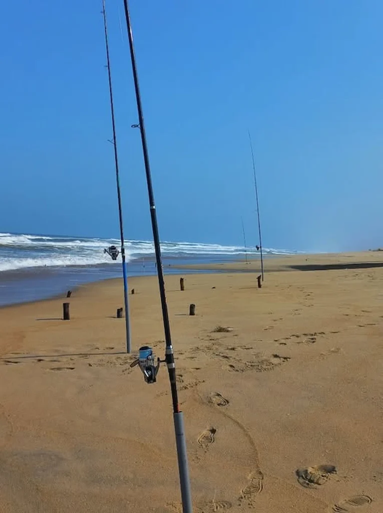 Surf fishing rods set up on sandy beach facing ocean waves, demonstrating rod placement strategy for shore fishing 2026.